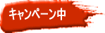 �X�E�F�[�f���Z�� �y���L�����y�[��